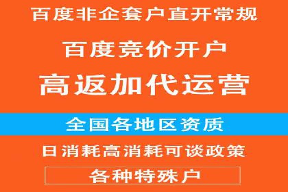 某知名品牌SEM运营策略及效果评估